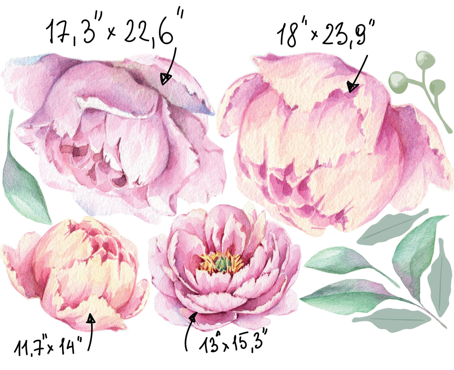 Peony Wall Decal Floral Rose Stickers Large, LF215