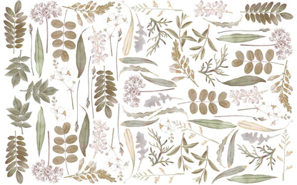 Vintage Wild Flowers Wall Decals Leaf Twigs Greenery Stickers herbarium, LF287