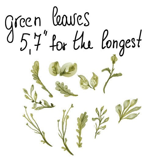 Greenery Leaf Wall Decals Plant Stickers, LF272