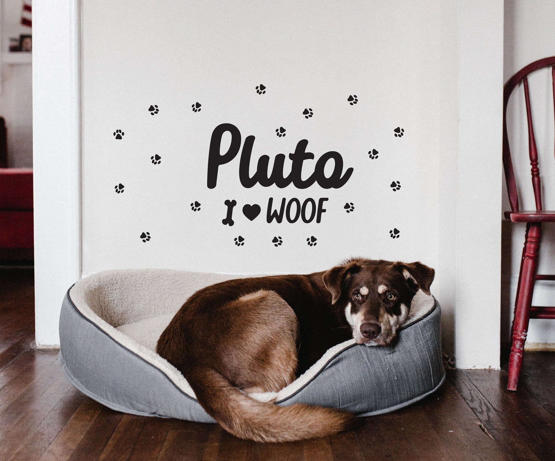 Dog Custom Name wall decal Personalized Pet sticker, LF312