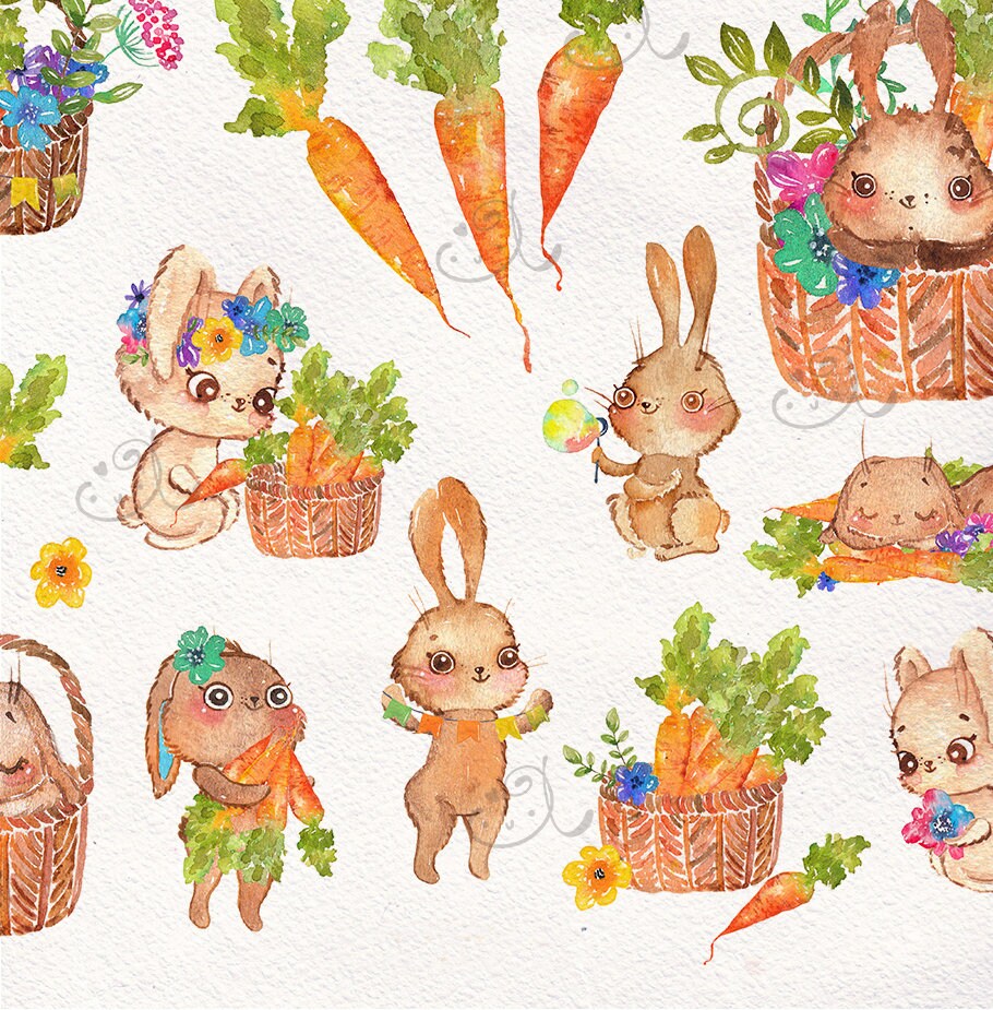 Bunny Animal Watercolor Clipart Carrot Flowers PNG, LF370