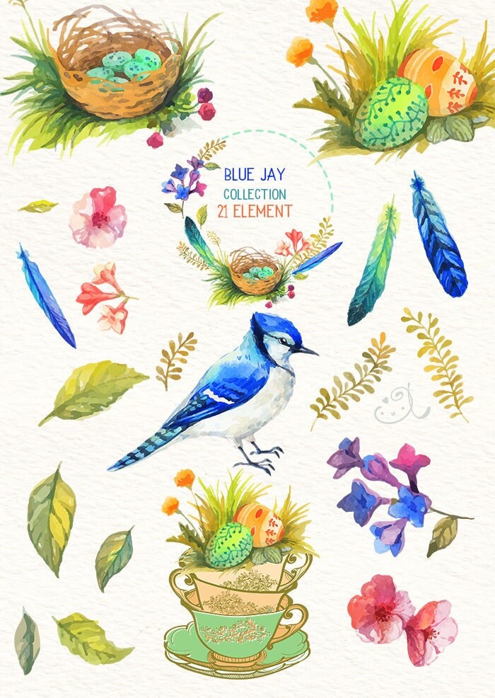 Blue Jay Watercolor Bird Clipart Flowers Leaves Nature PNG, LF369